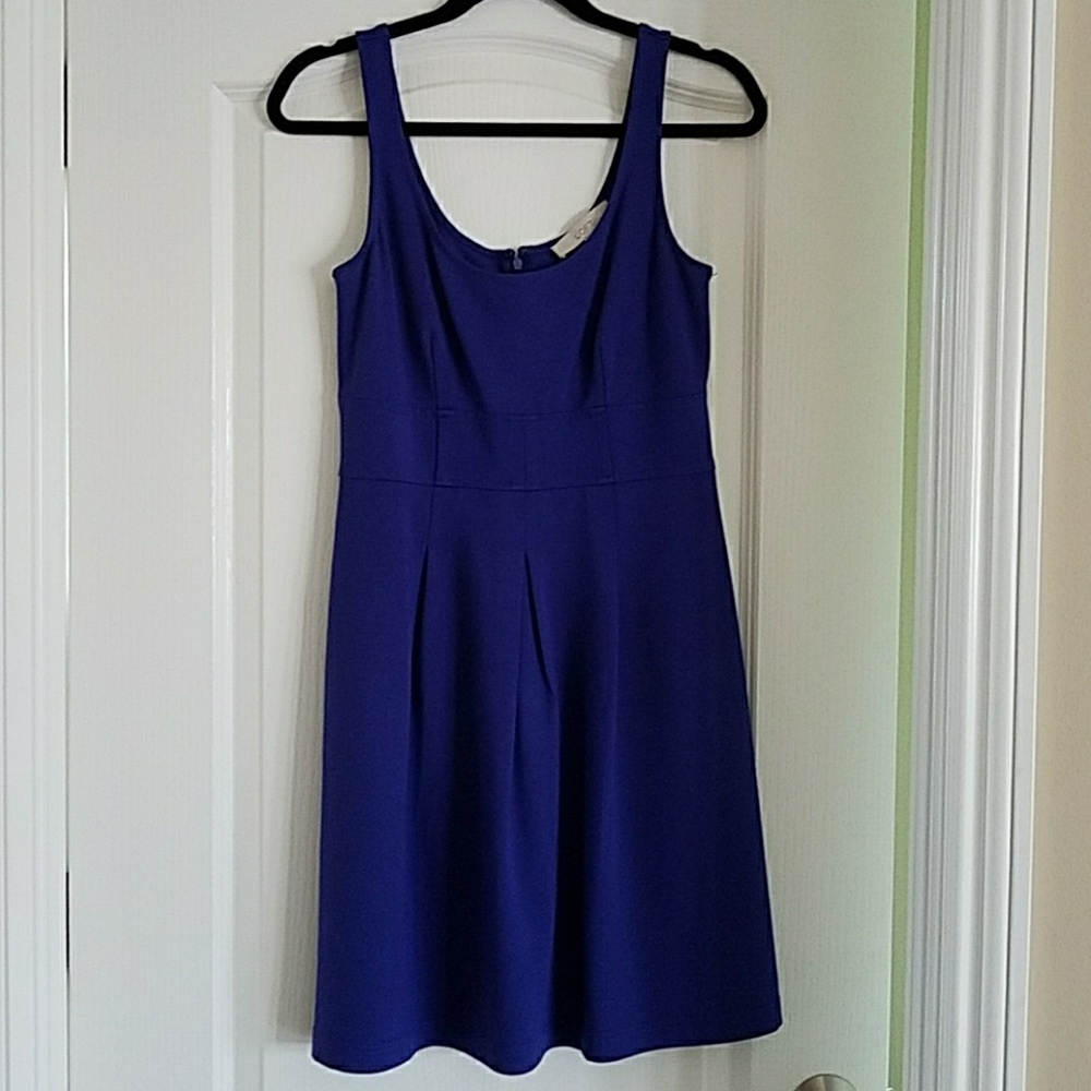 Anne Taylor Loft Dress